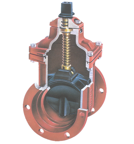 gate valve